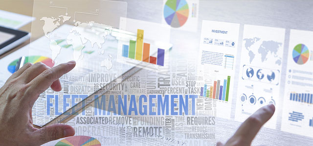 To ERP or Not to ERP…That Is the Question