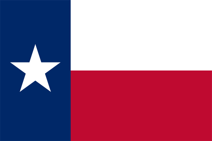 Texas Begins with I-35E Expansion Project